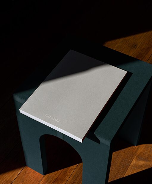 Cactus book on table 